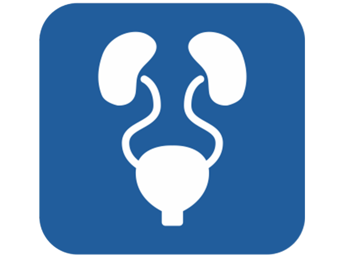 Αναστάσιος Κολοβός,MD,FEBU